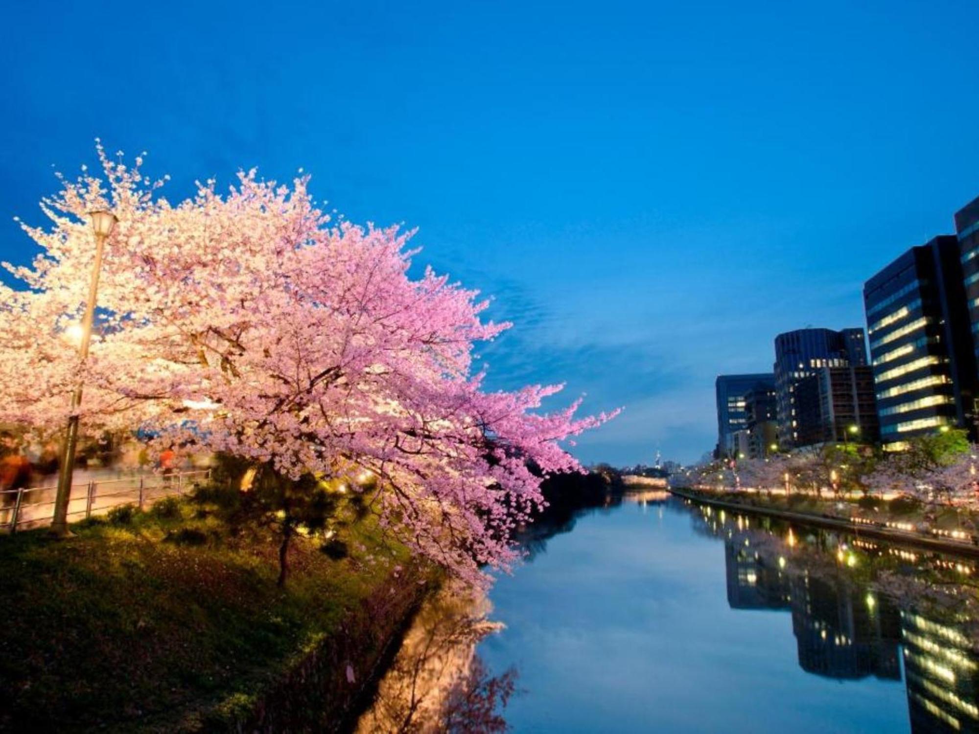 Hotel Resol Trinity Hakata Fukuoka  Kültér fotó